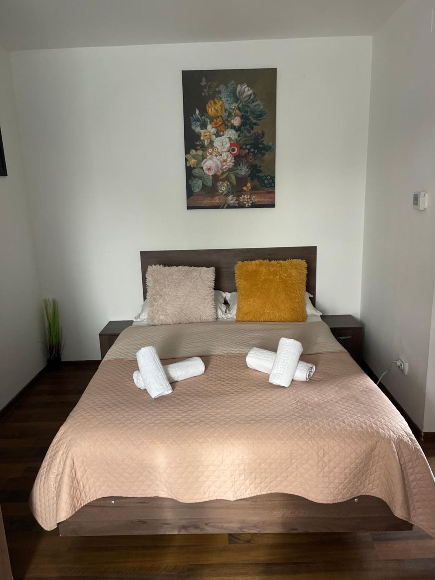 דירות טימישוארה Orange House מראה חיצוני תמונה